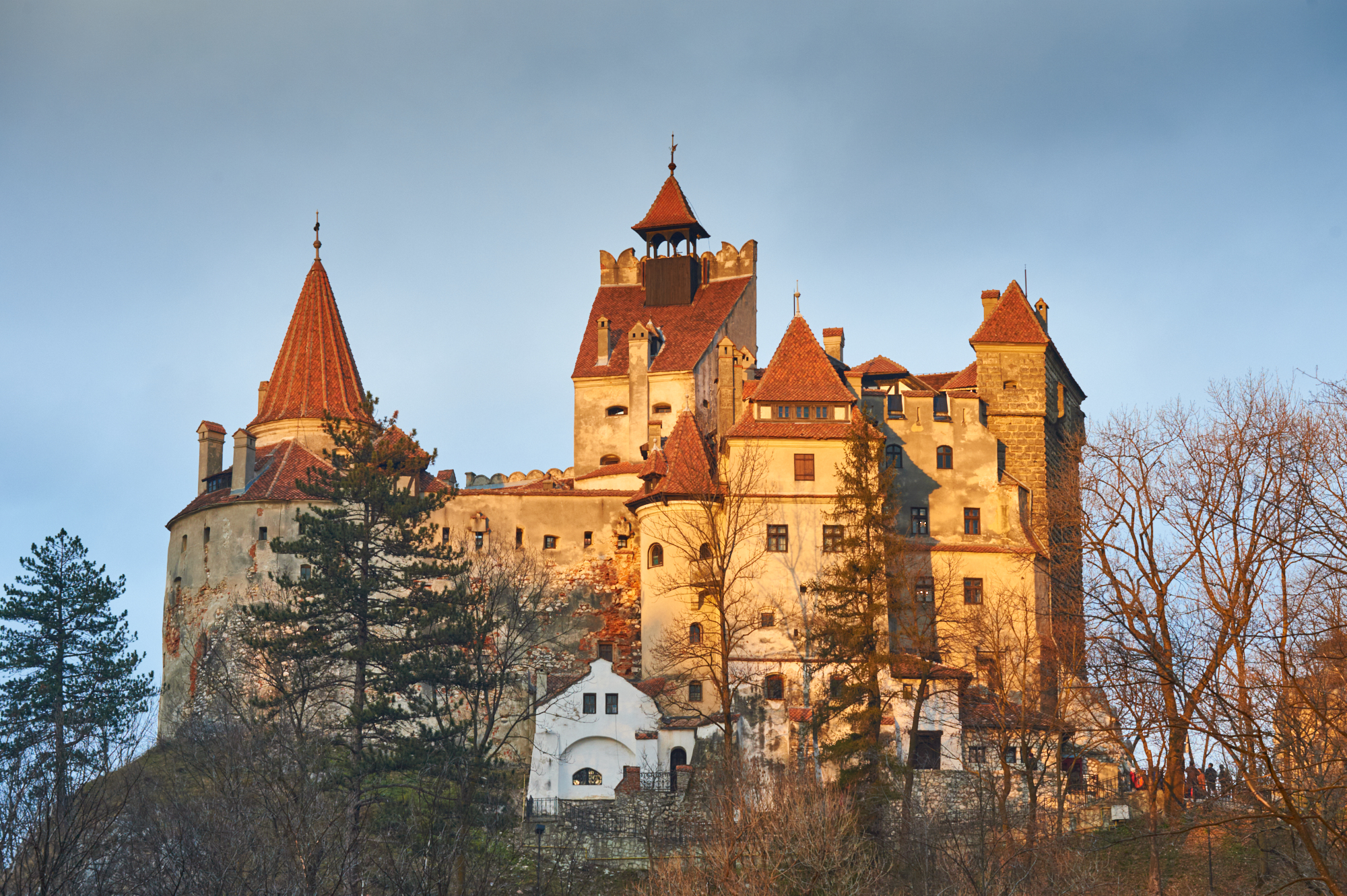 Poina Brasov